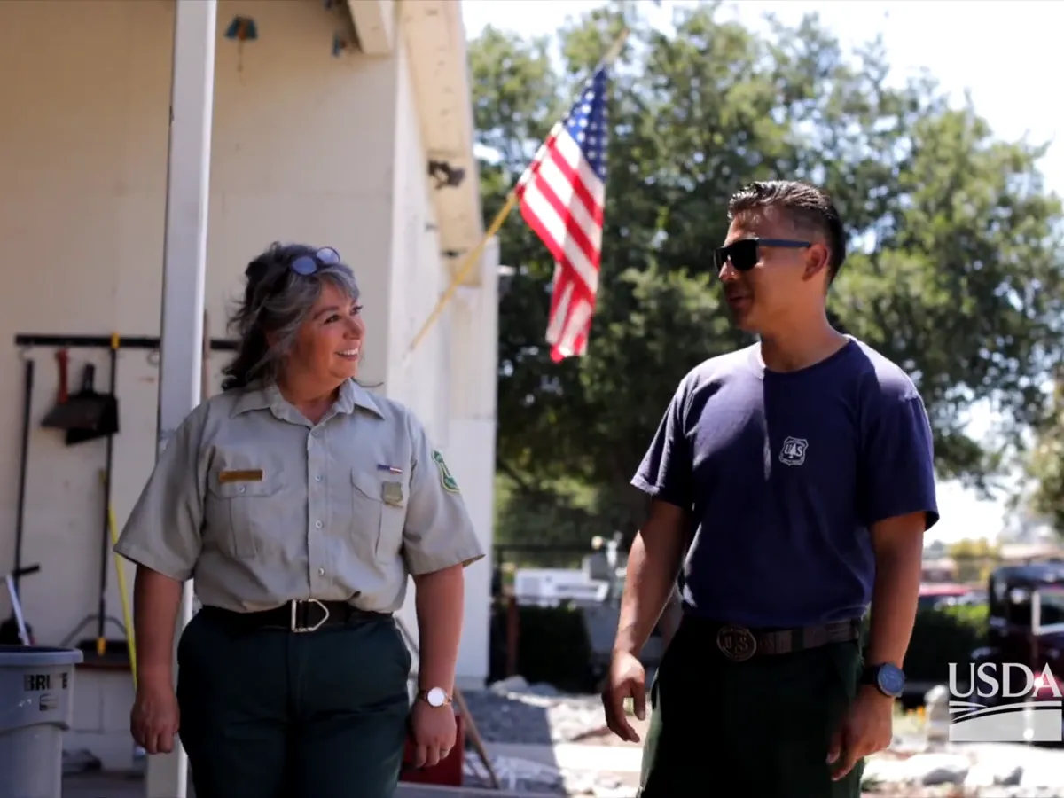 National Forest Service